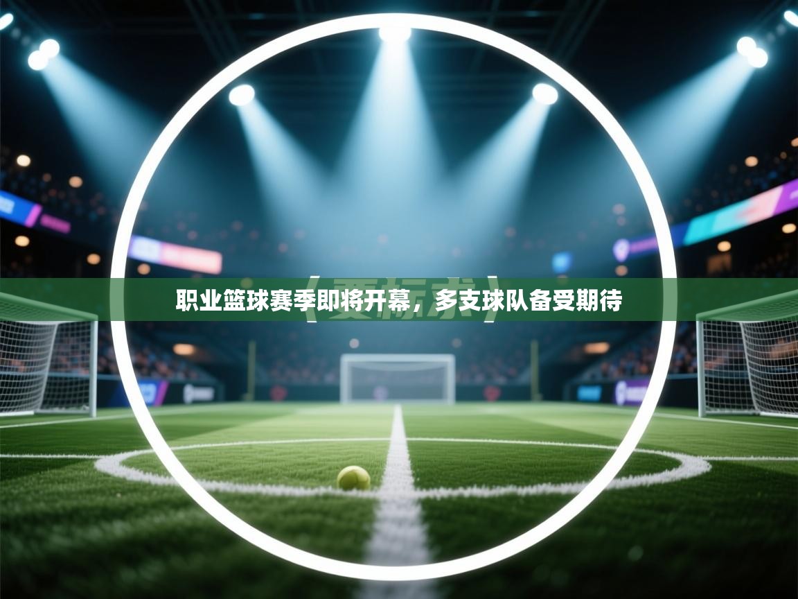 职业篮球赛季即将开幕，多支球队备受期待