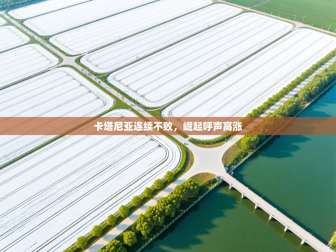 卡塔尼亚连续不败，崛起呼声高涨  第1张