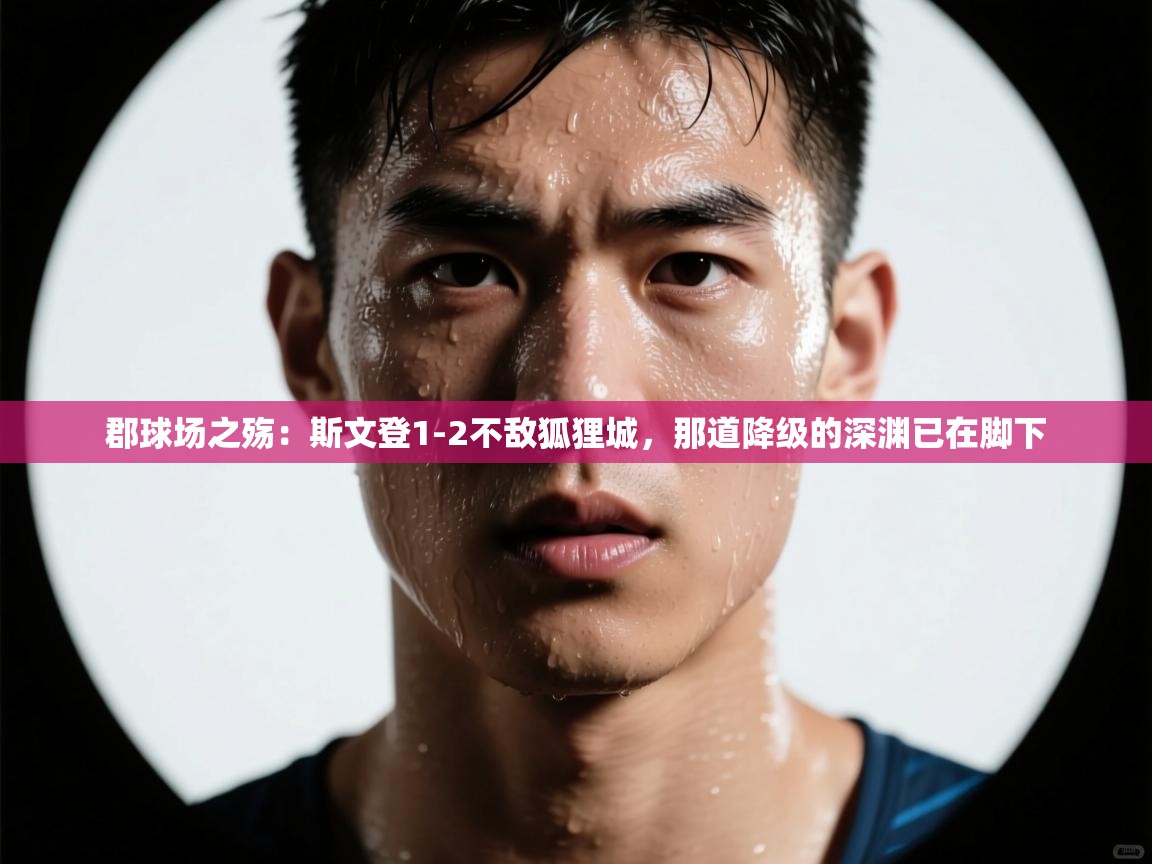 郡球场之殇：斯文登1-2不敌狐狸城，那道降级的深渊已在脚下  第1张