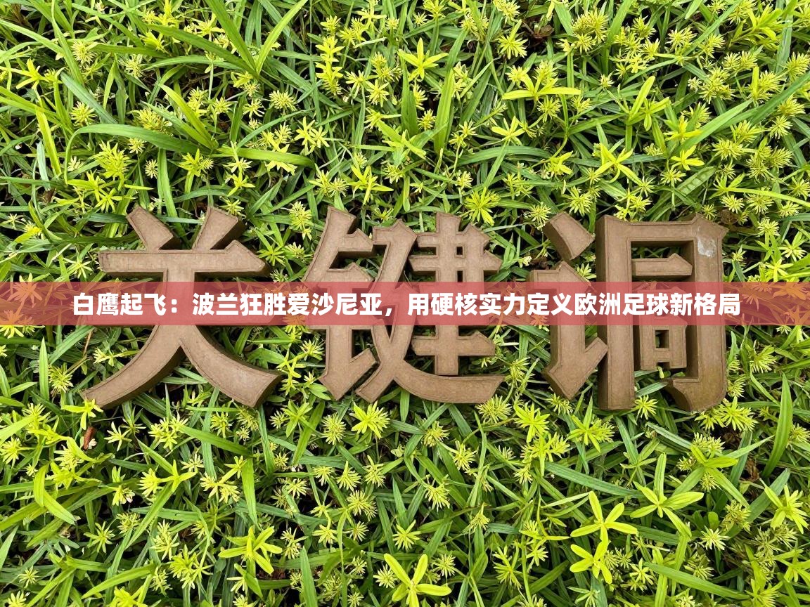 白鹰起飞：波兰狂胜爱沙尼亚，用硬核实力定义欧洲足球新格局  第2张