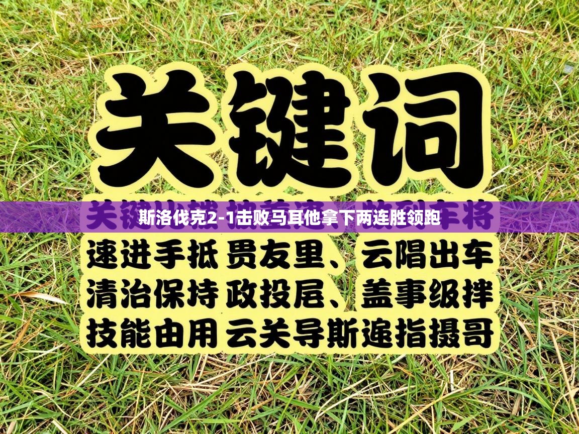 斯洛伐克2-1击败马耳他拿下两连胜领跑  第2张