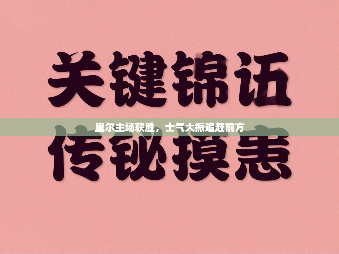 里尔主场获胜,士气大振追赶前方 第1张